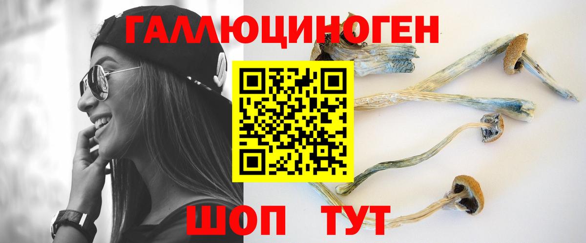 Псилоцибиновые грибы MAGIC MUSHROOMS Саратов